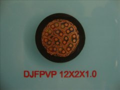 計算機電纜DJFPVP-12*2*1.0