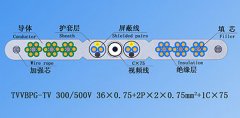 扁平絞合型排列帶屏蔽、鋼芯和視頻線電梯電纜