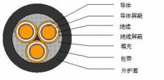 3*2.5，3*3，3*4，3*6，3*10，3*16，3*25屏蔽電纜結(jié)構(gòu)圖