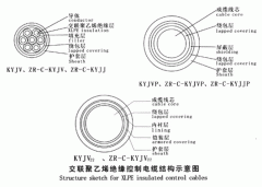 KYJV，KYJVP，KYJV22額定電壓0.6/1kV交聯聚乙烯絕緣控制電纜