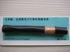 DJYPVP 2*2*0.75 分屏蔽、總屏蔽電子計(jì)算機(jī)屏蔽電纜