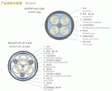 DJYPVP32,DJYP2V32,DJYVP2-32,DJYP2VP2-32鋼絲鎧裝計算機(jī)電纜