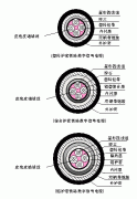 PTYA23、PTYA22鐵路鎧裝信號(hào)電纜